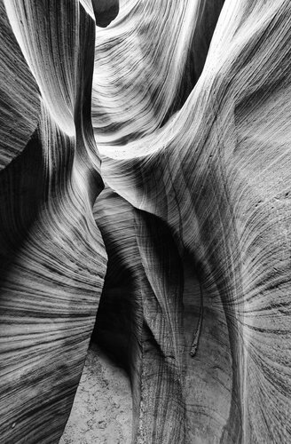 Antelope 17 di Pierre Piton, Fotografia in vendita su Singulart
