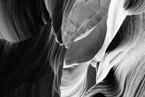 Antelope 20 de Pierre Piton, Fotografía a la venta en Singulart