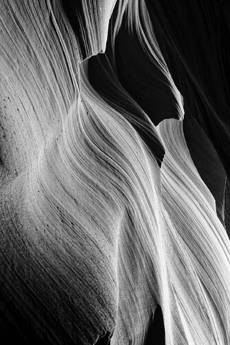 Antelope 21 di Pierre Piton, Fotografia in vendita su Singulart