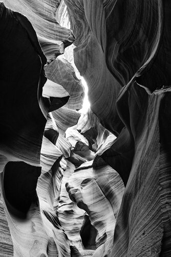 Antelope 27 di Pierre Piton, Fotografia in vendita su Singulart