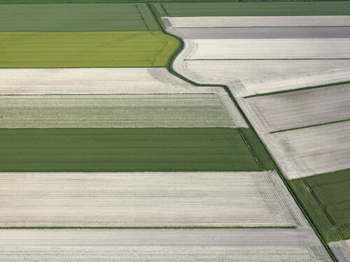 Diagonale C von Pierre Piton, Fotografie kaufen auf Singulart