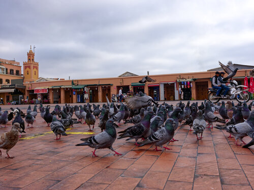 Marrakech 4 von Pierre Piton, Fotografie kaufen auf Singulart
