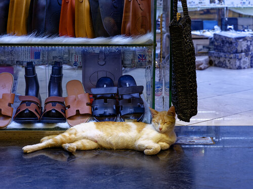 Marrakech 9 Pierre Piton