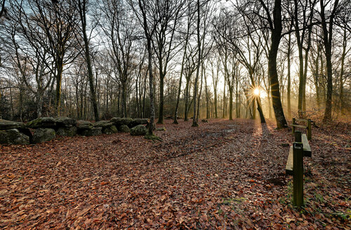Tressé 1 van Pierre Piton, Fotografie te koop op Singulart