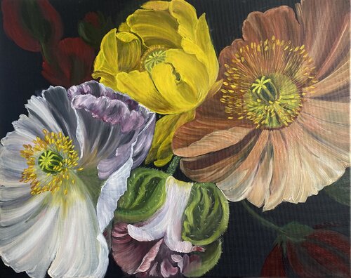 Poppies in Bloom van Alexandra Martakova, Schilderij te koop op Singulart