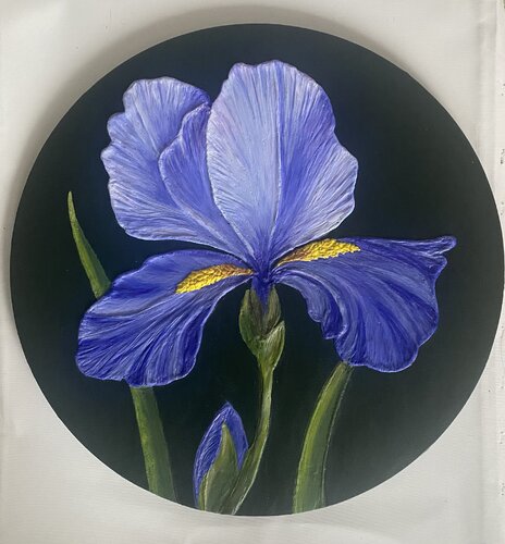 Elegance of Iris van Alexandra Martakova, Schilderij te koop op Singulart