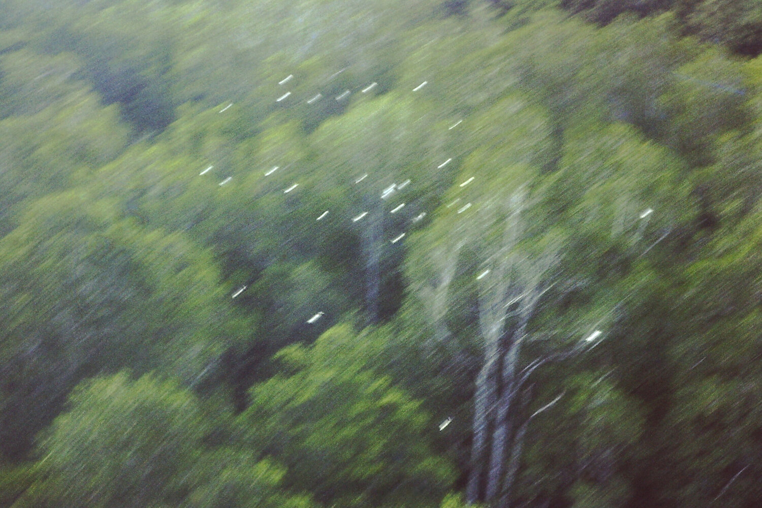 Analog Light Mst.in Marlies Getz