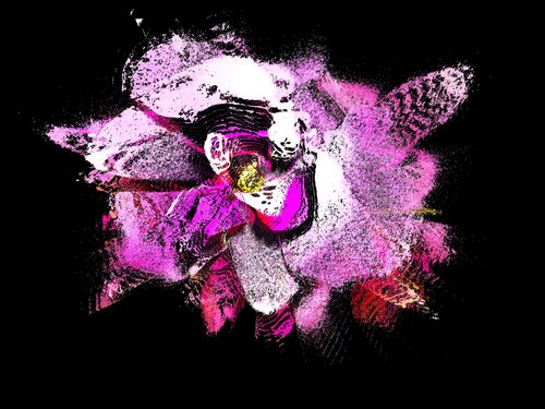 Orchidée di Alexandra Daoust, Digitale in vendita su Singulart