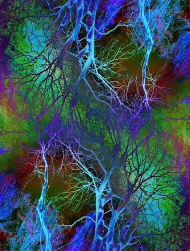Pop Artbre électrique von Alexandra Daoust, Fotografie kaufen auf Singulart
