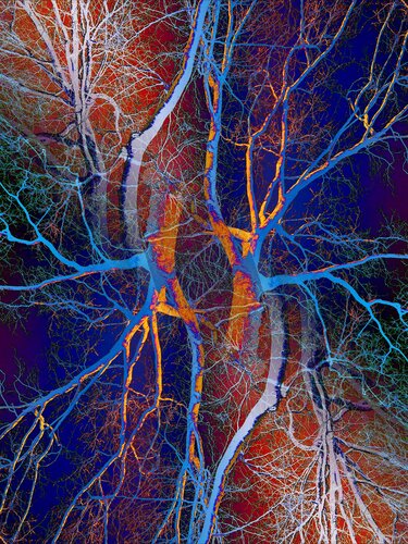 Pop Artbre Bleu by Alexandra Daoust, Photography for Sale on Singulart