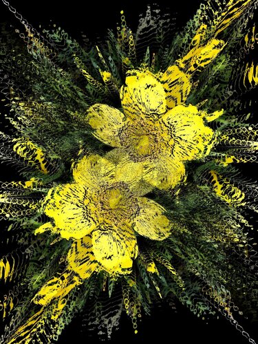 Millepertuis di Alexandra Daoust, Digitale in vendita su Singulart