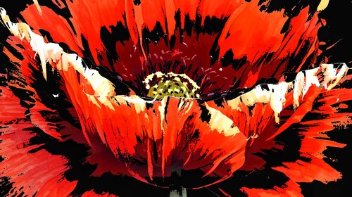 Coquelicot by Alexandra Daoust, Digital for Sale on Singulart