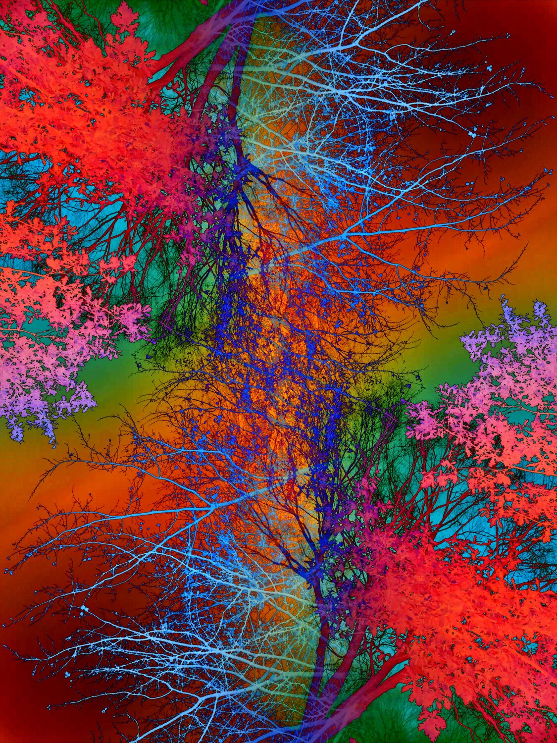 Pop Artbre Rainbow Forest Alexandra Daoust