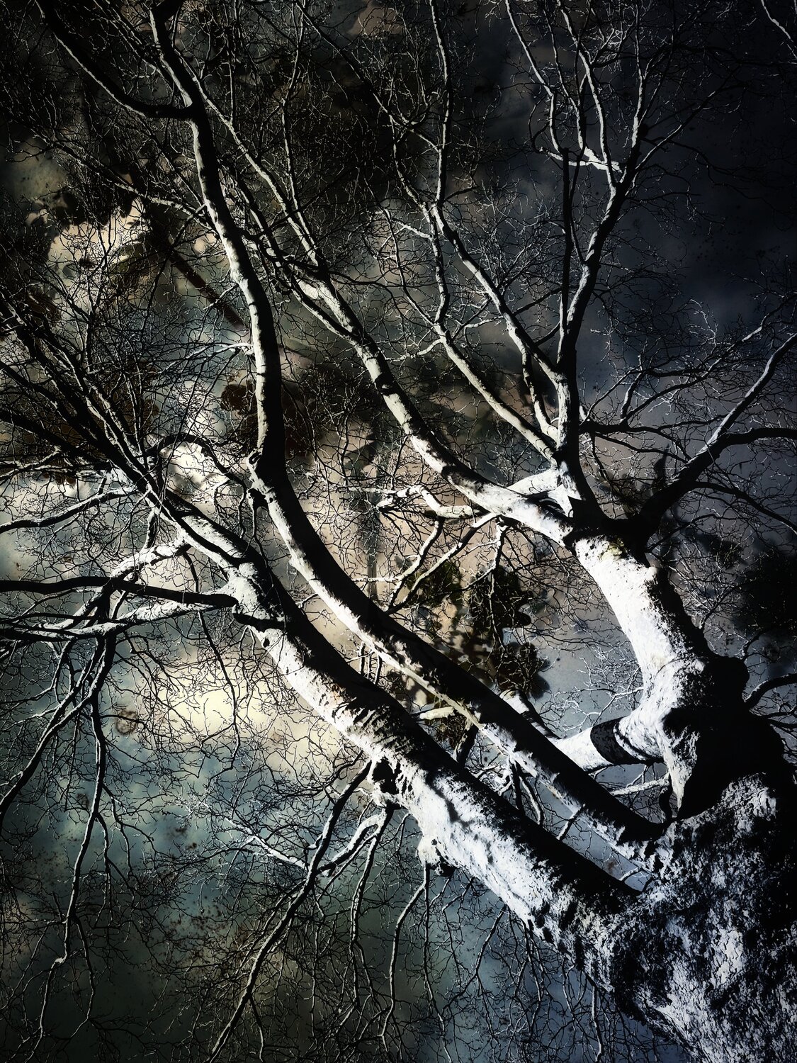 Tempête Alexandra Daoust