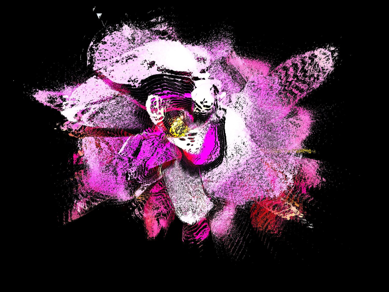 Orchidée Alexandra Daoust