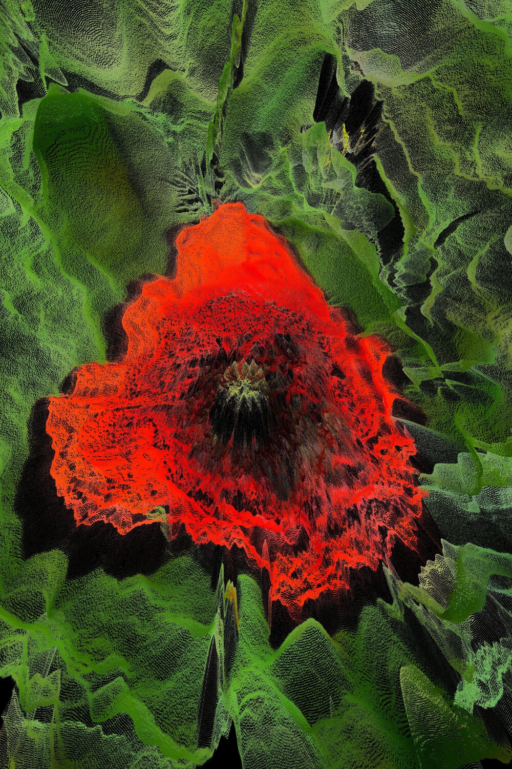 Coquelicot 1 Alexandra Daoust