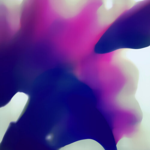 “Air plant” van Kirill Chudinskiy, Afdruk te koop op Singulart