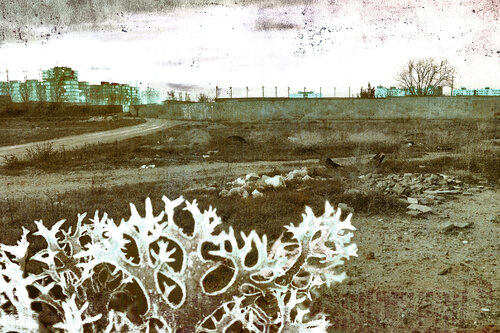 028 by Lorenzo López Ruiz, Photography for Sale on Singulart