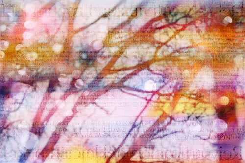 070 by Lorenzo López Ruiz, Photography for Sale on Singulart