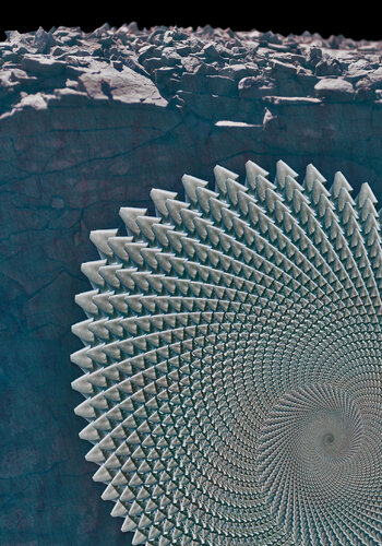 131 von Lorenzo López Ruiz, Fotografie kaufen auf Singulart