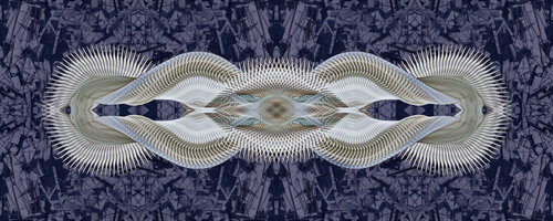 S-001 by Lorenzo López Ruiz, Photography for Sale on Singulart