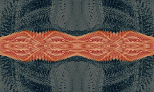 031 von Lorenzo López Ruiz, Fotografie kaufen auf Singulart