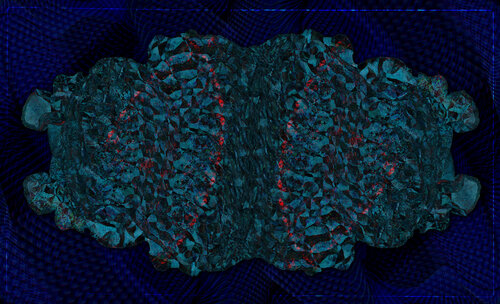 543 von Lorenzo López Ruiz, Fotografie kaufen auf Singulart