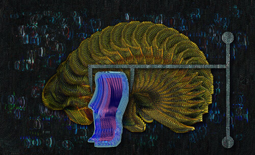 3243 van Lorenzo López Ruiz, Digitaal te koop op Singulart
