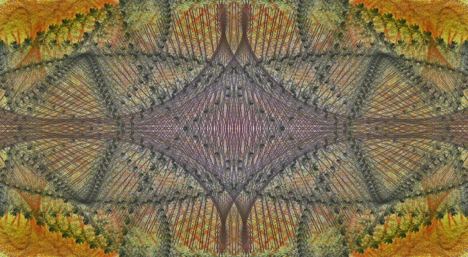 065 Lorenzo López Ruiz