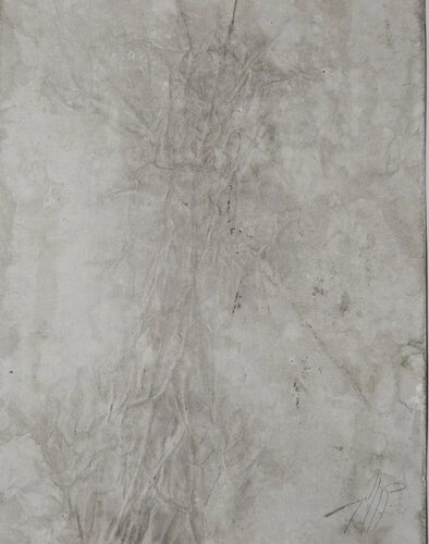 SIN TITULO XXIII von Angel Santiago Plata, Werk auf Papier kaufen auf Singulart
