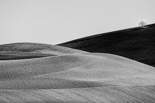 Natura in silenzio van Francesco Mosca, Fotografie te koop op Singulart