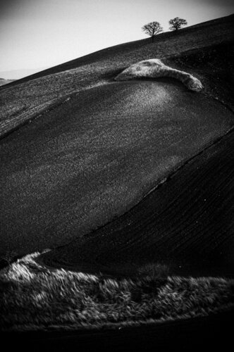 Paesaggio van Francesco Mosca, Fotografie te koop op Singulart
