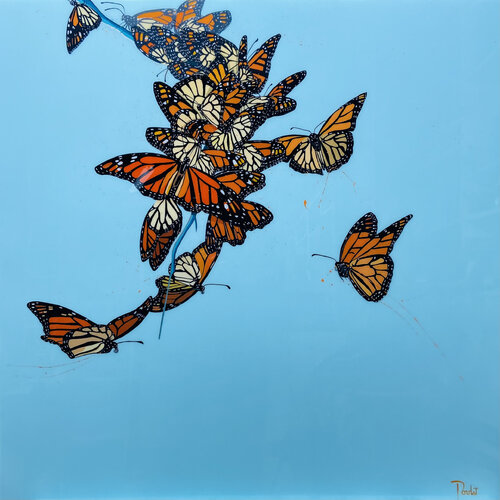 MIGRATION " Les Monarques" François Poulat