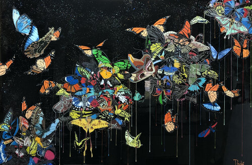 FLEURS DE PAPILLONS François Poulat