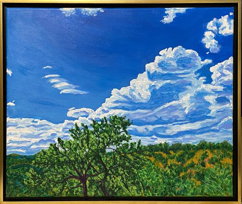 NM Jicarilla Ridge Mid-Day von Ronald Hicks, Malerei kaufen auf Singulart