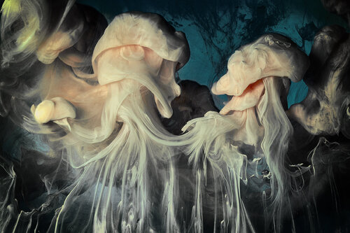 Liquid Soul n°186 Creature van Gaëtan Changeur, Fotografie te koop op Singulart