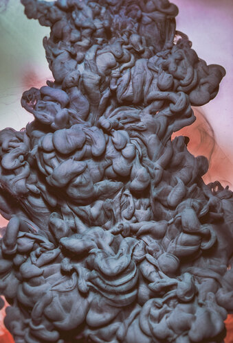 Liquid Soul n°236 Extinctions von Gaëtan Changeur, Fotografie kaufen auf Singulart