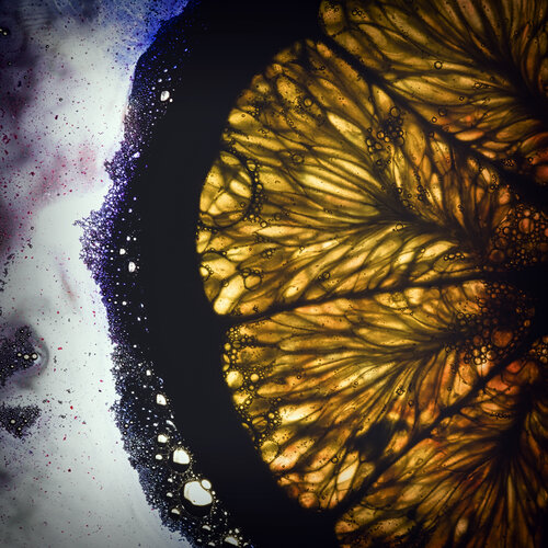 Compression Culinaire - Inner Citrus di Gaëtan Changeur, Fotografia in vendita su Singulart