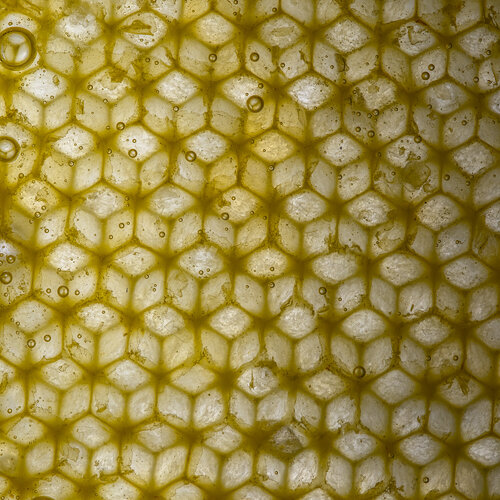 Série sur le miel. n°7110 Golden Cells by Gaëtan Changeur, Photography for Sale on Singulart