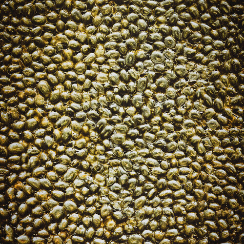 Compression Culinaire. Série sur Citron caviar n°4611 de Gaëtan Changeur, Fotografía a la venta en Singulart