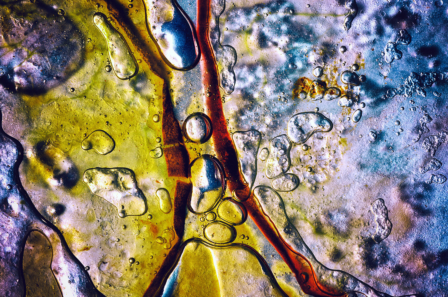 Série sur la pomme n°001 : Viscous Pathways Gaëtan Changeur Fotografie zu verkaufen