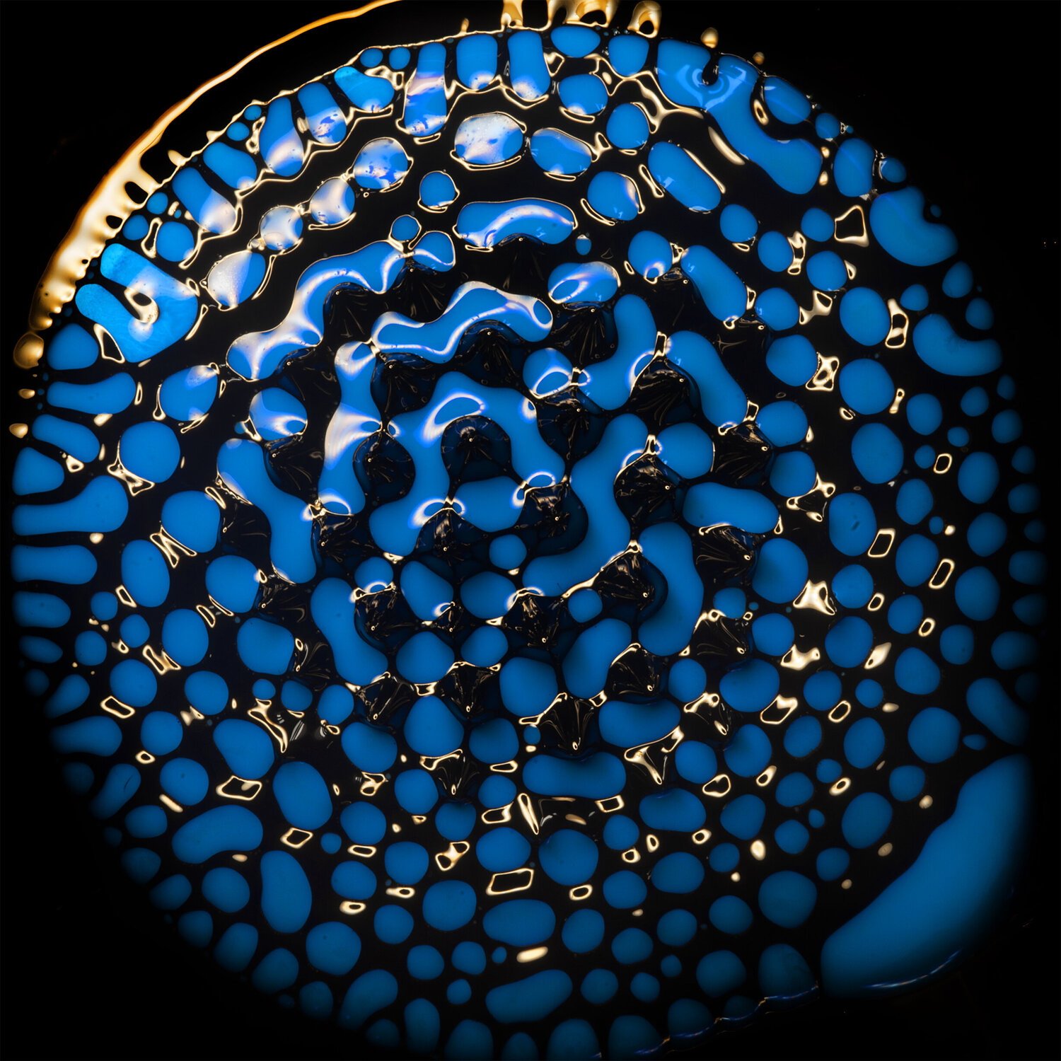 Magnetic Fluids n°9948 / Cosmos Liquide Gaëtan Changeur Fotografie zu verkaufen