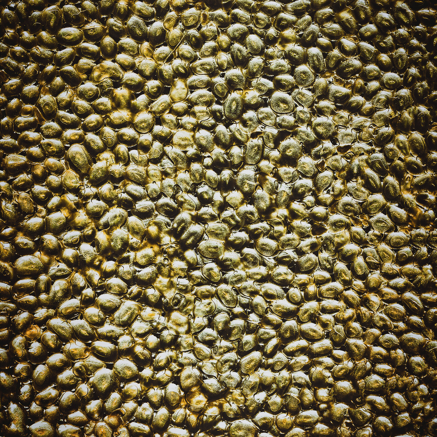 Compression Culinaire. Série sur Citron caviar n°4611 Gaëtan Changeur Fotografie zu verkaufen