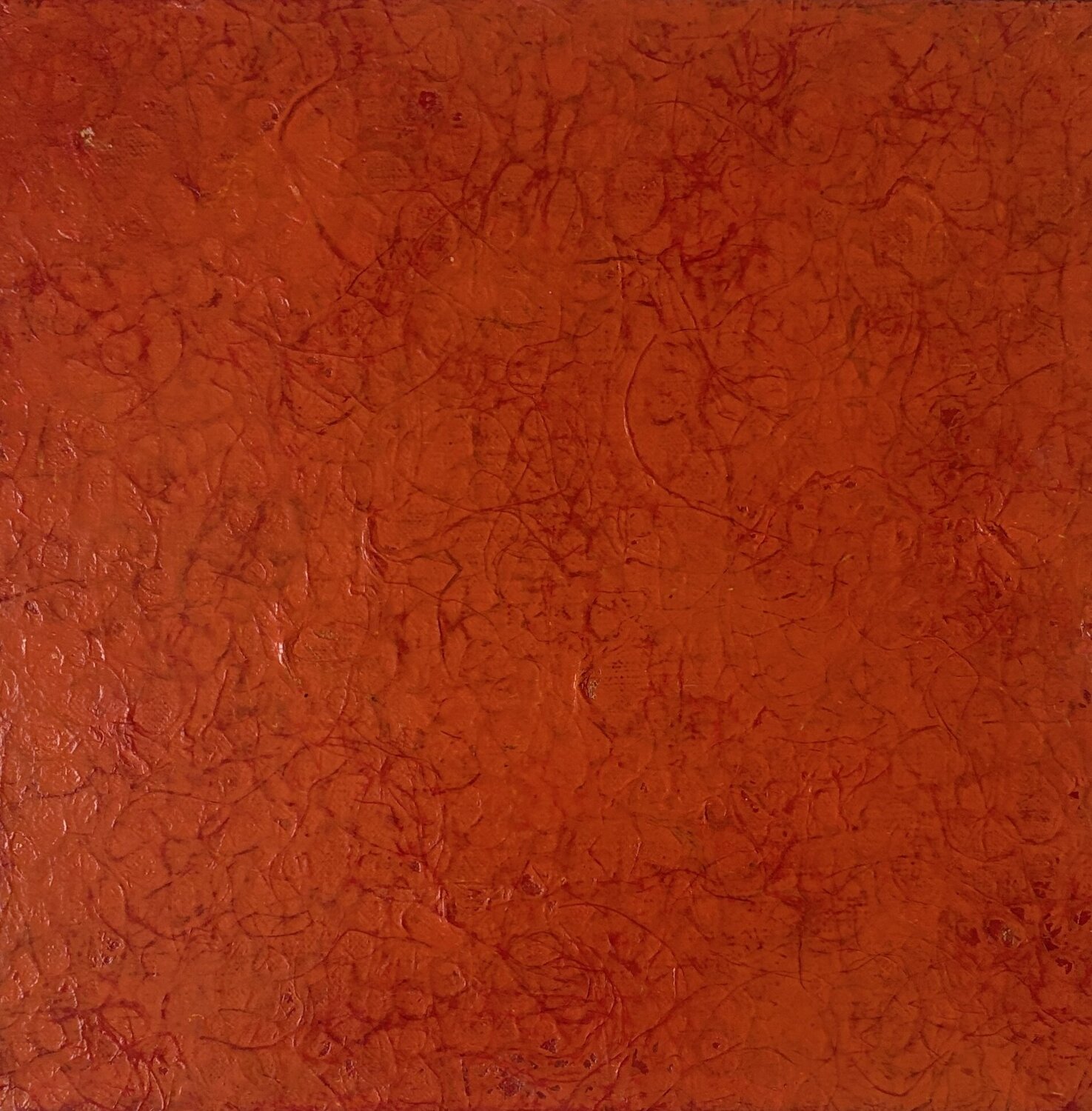 Scene - Orange Miho Umemura