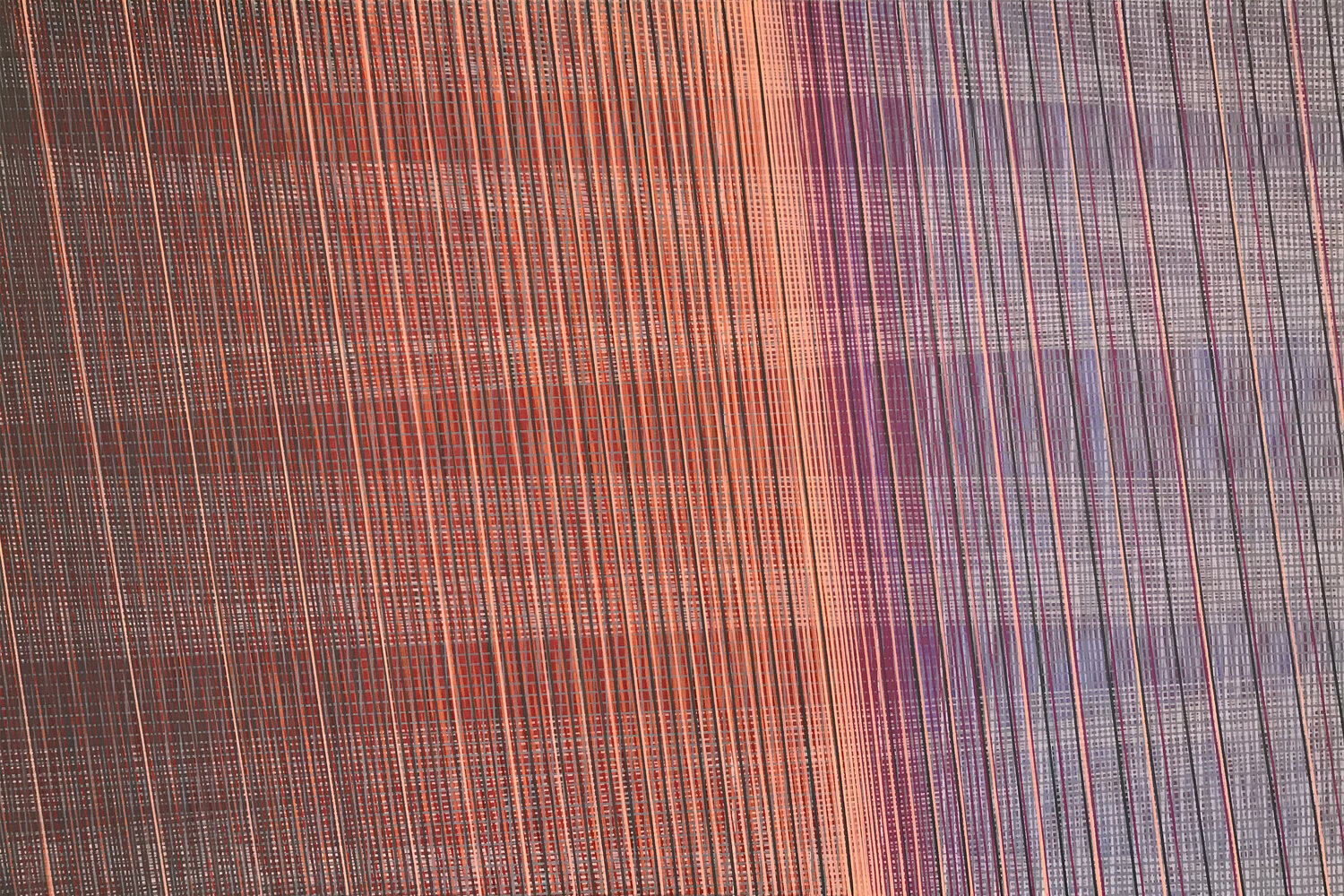 ligne droite #17 Marc Kirschvink