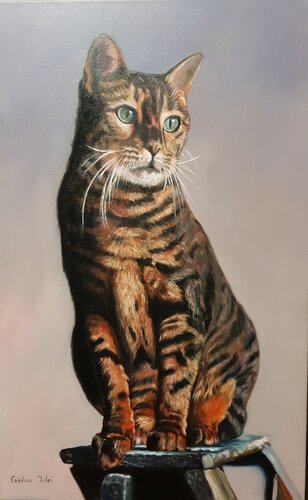 Un felino per amico van Cristina Severin, Schilderij te koop op Singulart