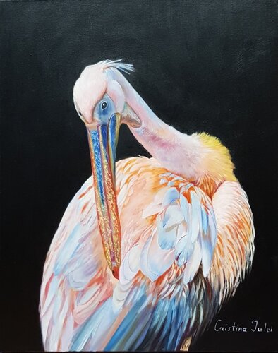 Pellicano van Cristina Severin, Schilderij te koop op Singulart