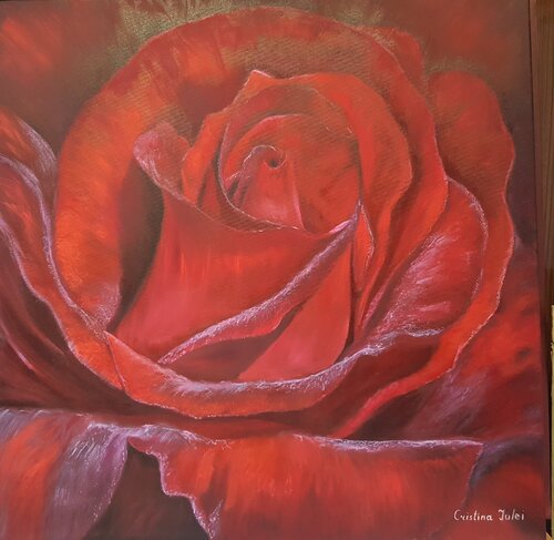 Rosa vellutata van Cristina Severin, Schilderij te koop op Singulart