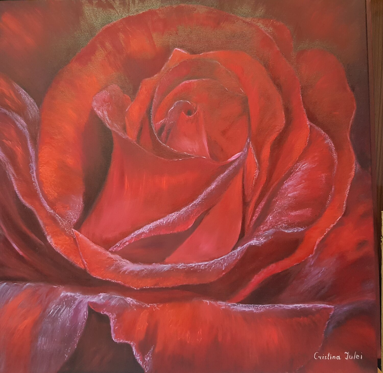 Rosa vellutata Cristina Severin
