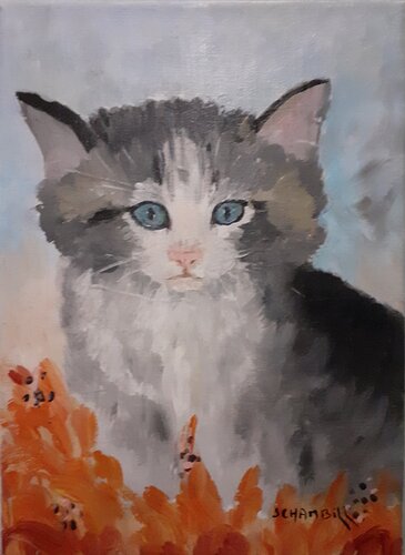 Chaton de Sylvie Schambill, Pintura a la venta en Singulart
